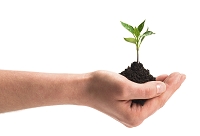 1本の歯を大切にする治療